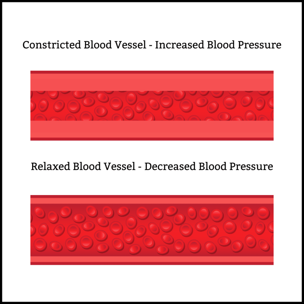 Amlodipine and blood pressure