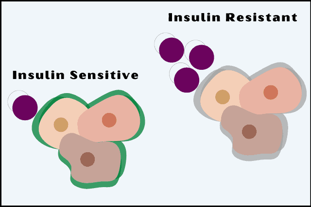 standing and insulin sensitivity